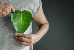 Economical, ecological, friendly: Eklo, a new way of living in a hotel